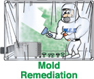 Mold Remediation